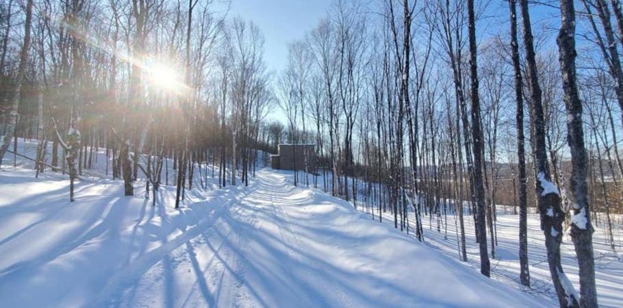 Chalet Serenity - Mont Tremblant Ski - Spa Sauna Wifi Tv Privet Chic Modern House Villa La Conception Eksteriør bilde